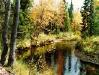 Воды подземные - самые ценные Воды подземные - самые ценные