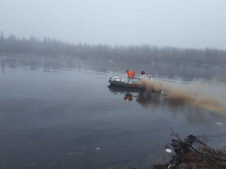 Ликвидацией последствий нефтеразлива на реке Колве занимаются около сотни человек