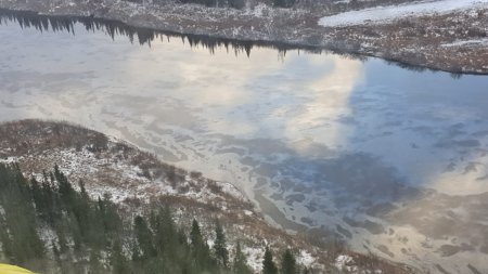 Ликвидацией последствий нефтеразлива на реке Колве занимаются около сотни человек