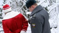 Жительницу Усинска обманули мошенники при продаже новогодних елок
