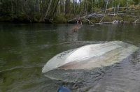 В Усинске осужден владелец моторной лодки, по вине которого утонул пассажир