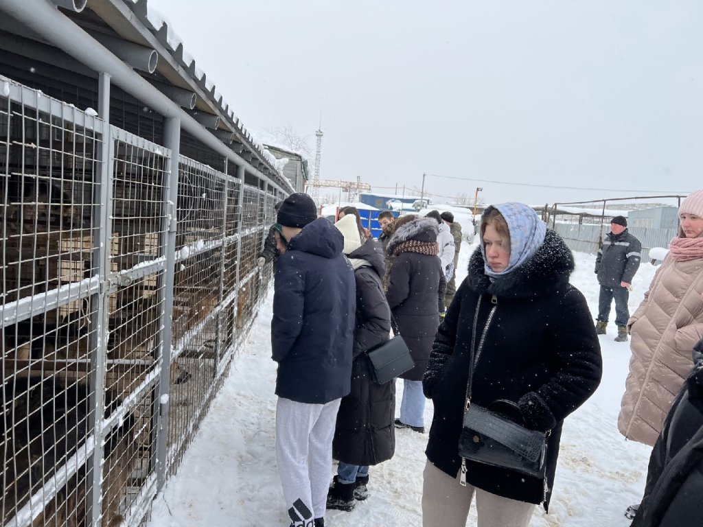 Уже год в Усинске успешно работает муниципальный приют для собак |  24.02.2023 | Усинск - БезФормата