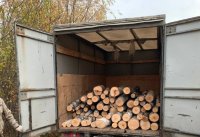 В Усинске перед судом предстанут обвиняемые в незаконной рубке лесных насаждений В Усинске перед судом предстанут обвиняемые в незаконной рубке лесных насаждений