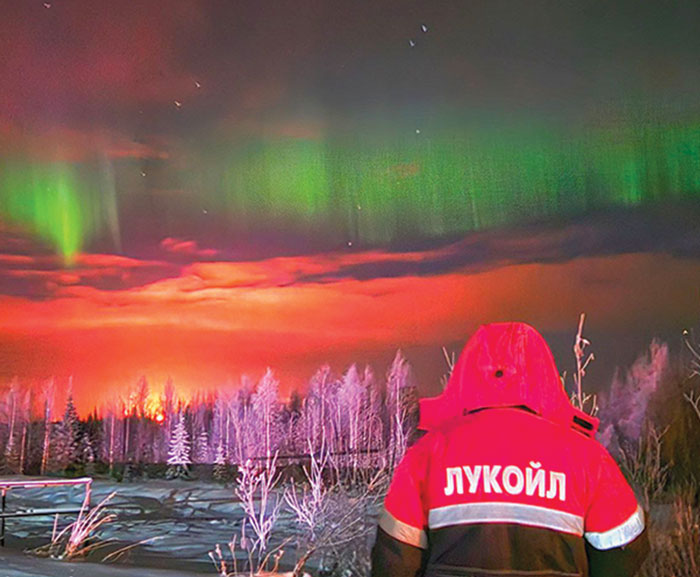 Запечатленная красота Запечатленная красота