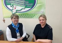 Прямая линия трудоустройства школьников Прямая линия трудоустройства школьников