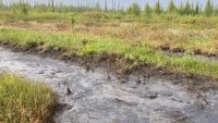 В Усинске произошел разлив нефти В Усинске произошел разлив нефти