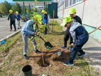 Жители округа «Усинск» приняли участие во Всероссийском экологическом субботнике Жители округа «Усинск» приняли участие во Всероссийском экологическом субботнике