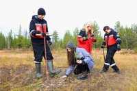 Экологи ЛУКОЙЛ-ПЕРМИ высадили около полутора тысяч молодых елей Экологи ЛУКОЙЛ-ПЕРМИ высадили около полутора тысяч молодых елей