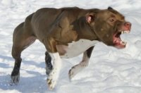 � ��������� �������� ����� �������� 80 ����� ������ �� ���������