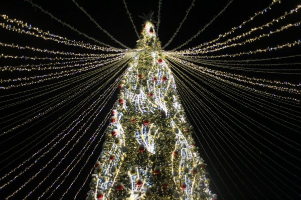 � ������� �������� ���� ������� ����