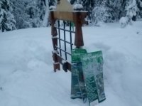 �� ����� ���������� �� ����� �������� ����������� �������