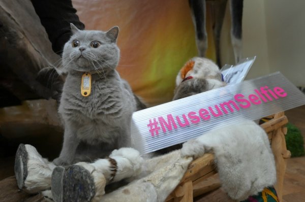 ����� � �����