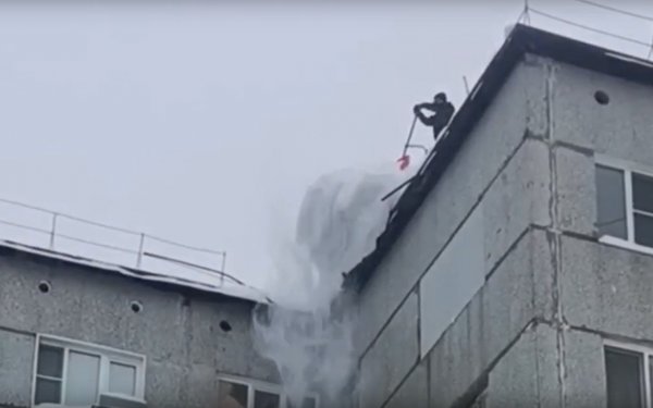 ������ �����