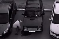 ������� ����������� ������ ����� �� ����� ���������