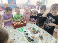 ��� ����������� �����������: �������� ���� �� ������������