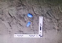 � ������� ��������� ����������