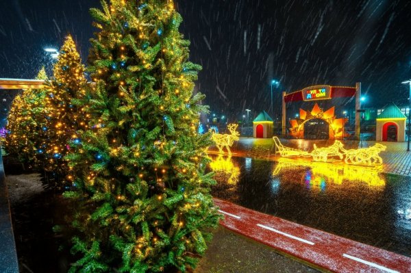 ����������� ����� � ������ ������ ������� ������ ������