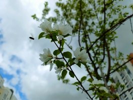� ������� ��������� �������� �������